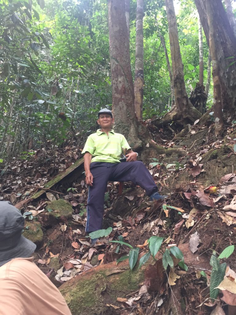 Protected forest in Long Lawen Village, Sarawak, Malaysia