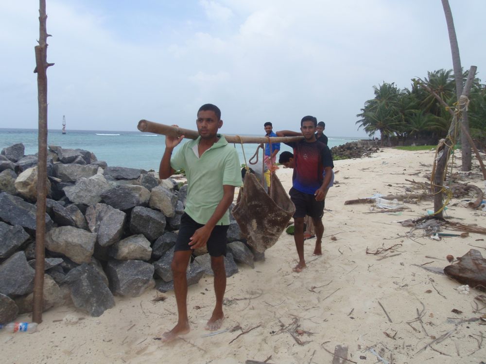 Men carry poles on the beach on Kavarotti Island, India
