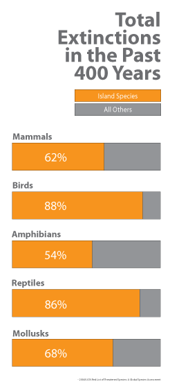 IslandSpecies_graph_246px