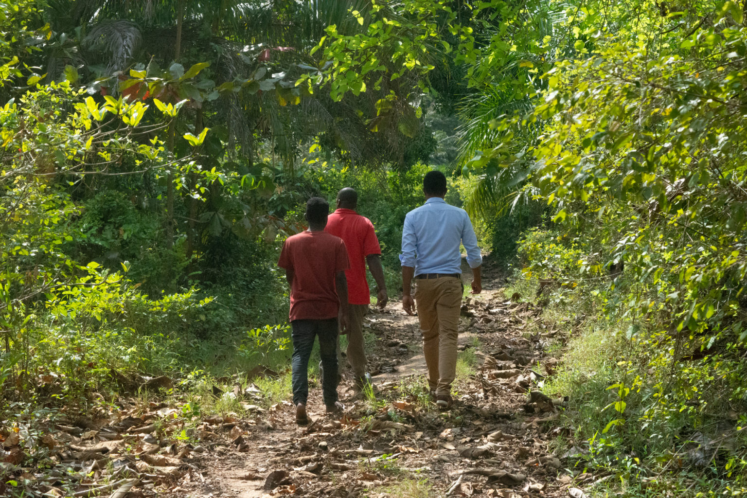 Hiking through Masingini City Park