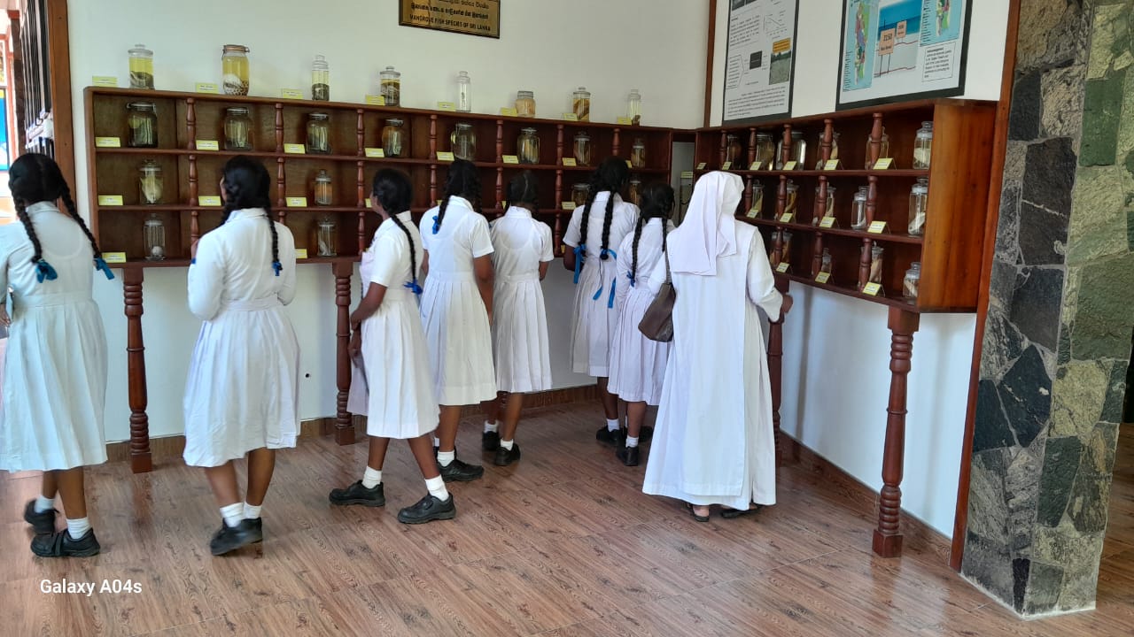 A group of students looks at a museum display
