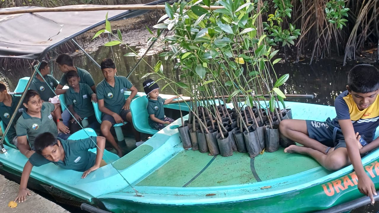 A group of students in a boat with mangrove saplings ready to plant