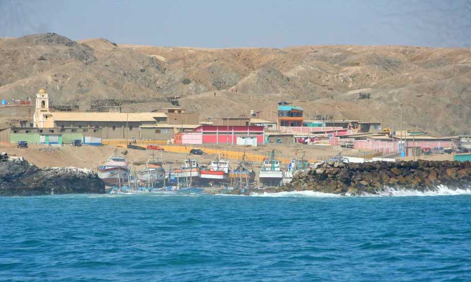 Seacology Foca Island Seacology