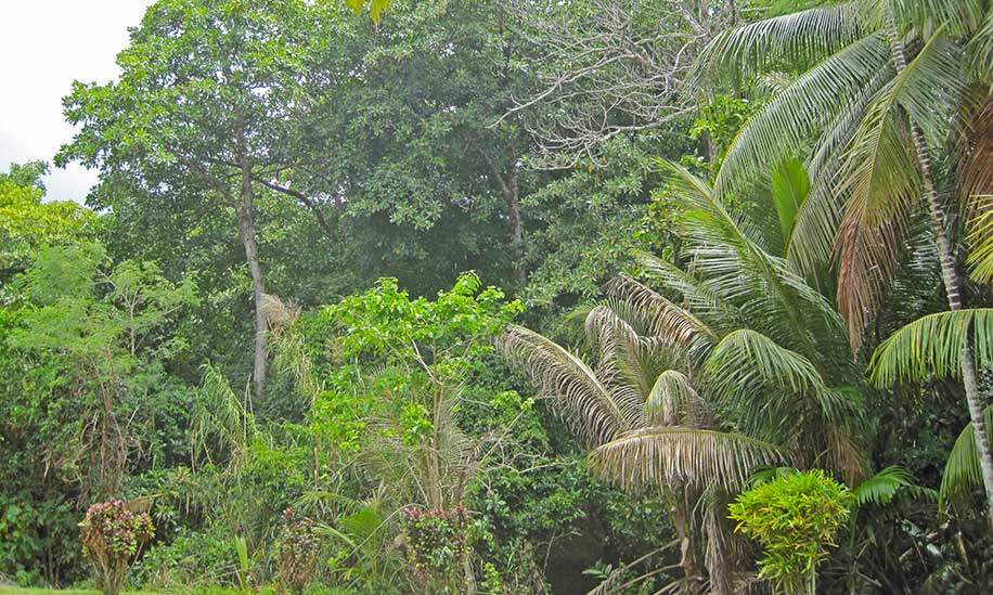 Rang Village, Yap, Micronesia