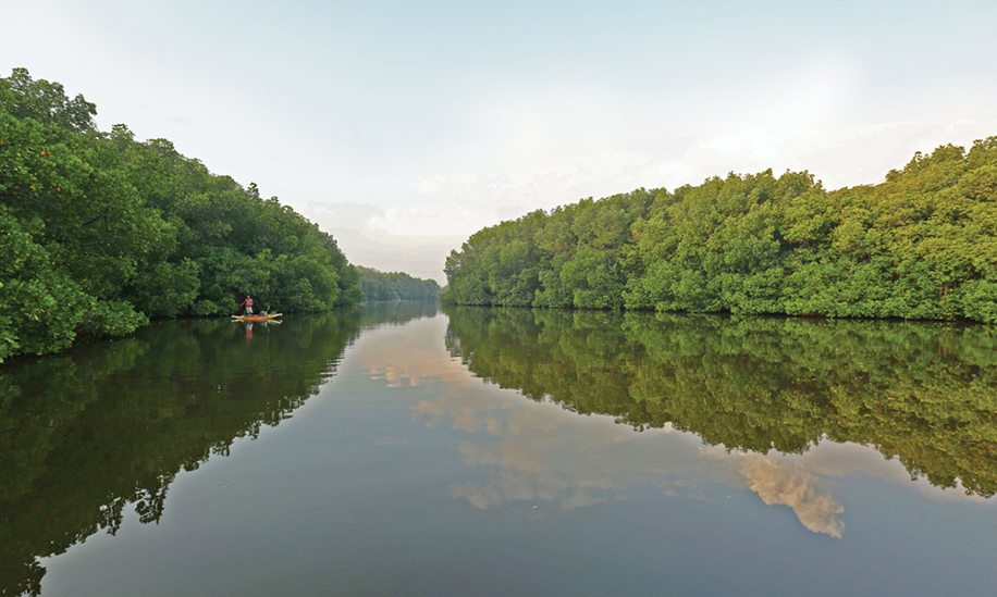 Cheap write my essay managing iloilo river towards biodiversity and sustainability