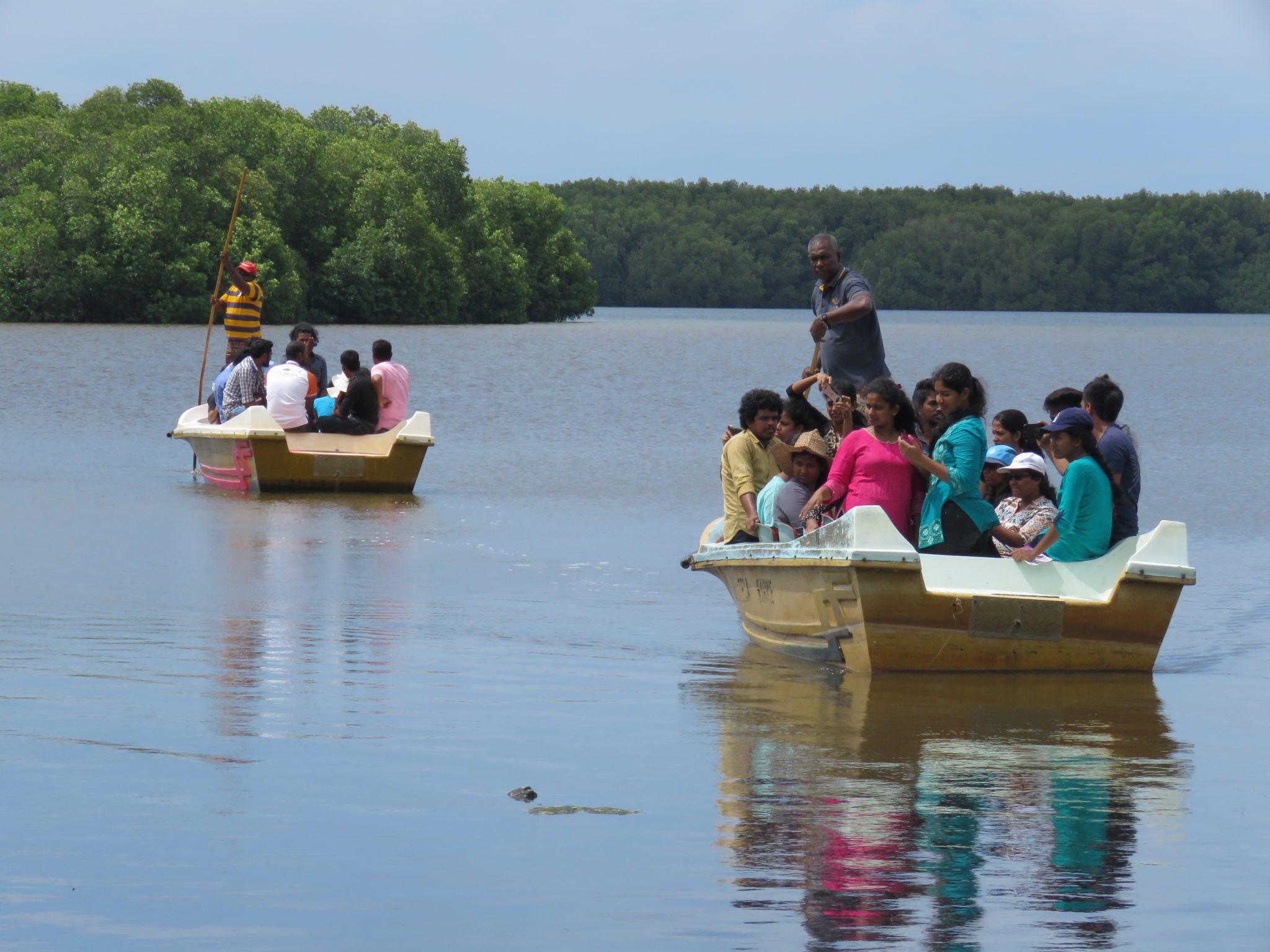 Sudeesa personnel lead university students on a tour through mangroves