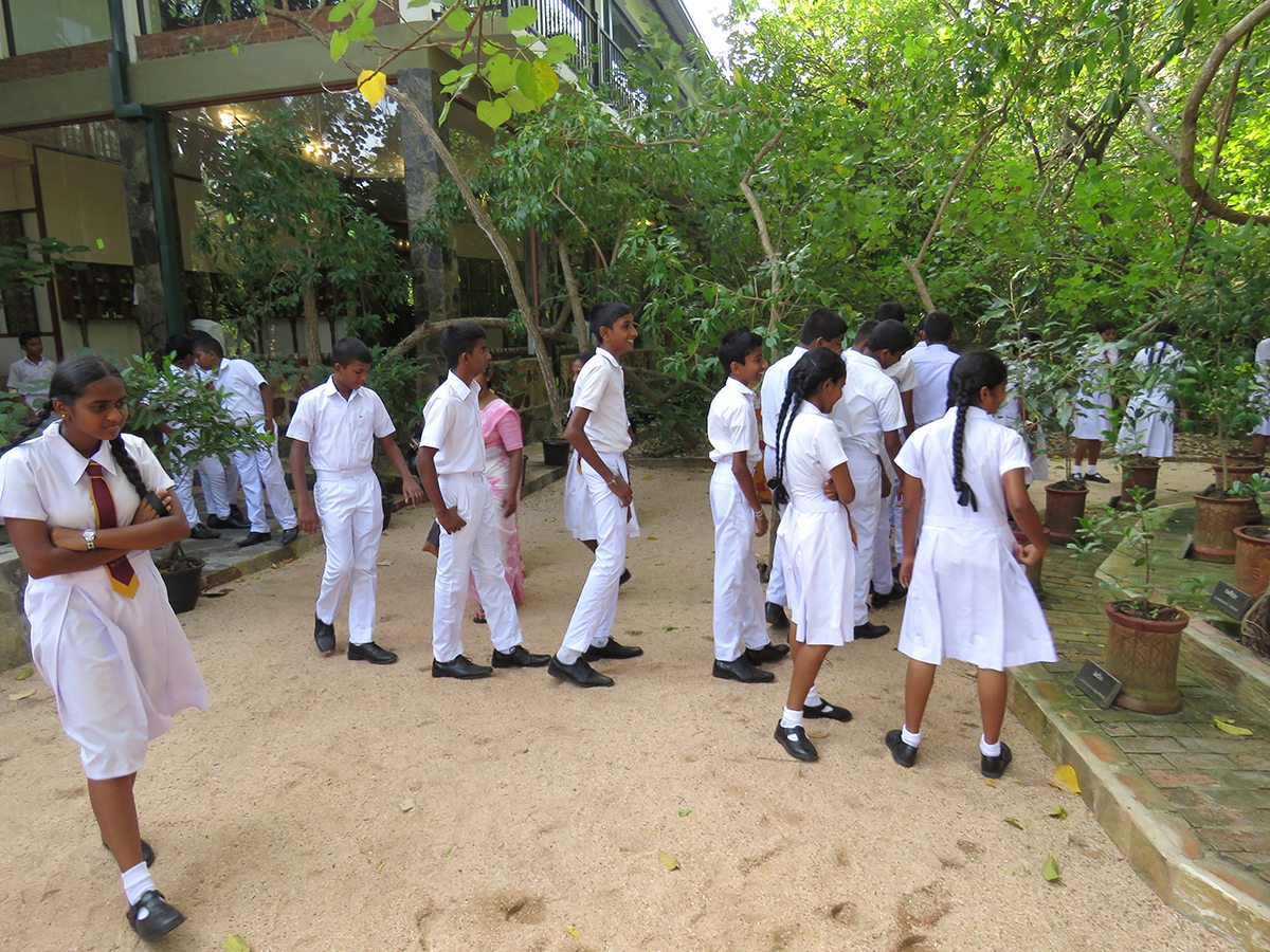 mangrove museum picks 012