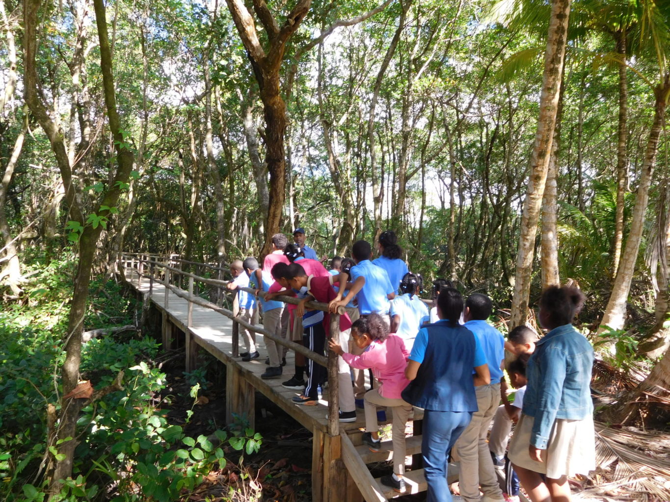 A group of youths tours the mangrove boardwalk at Las Garitas, Dominican Republic