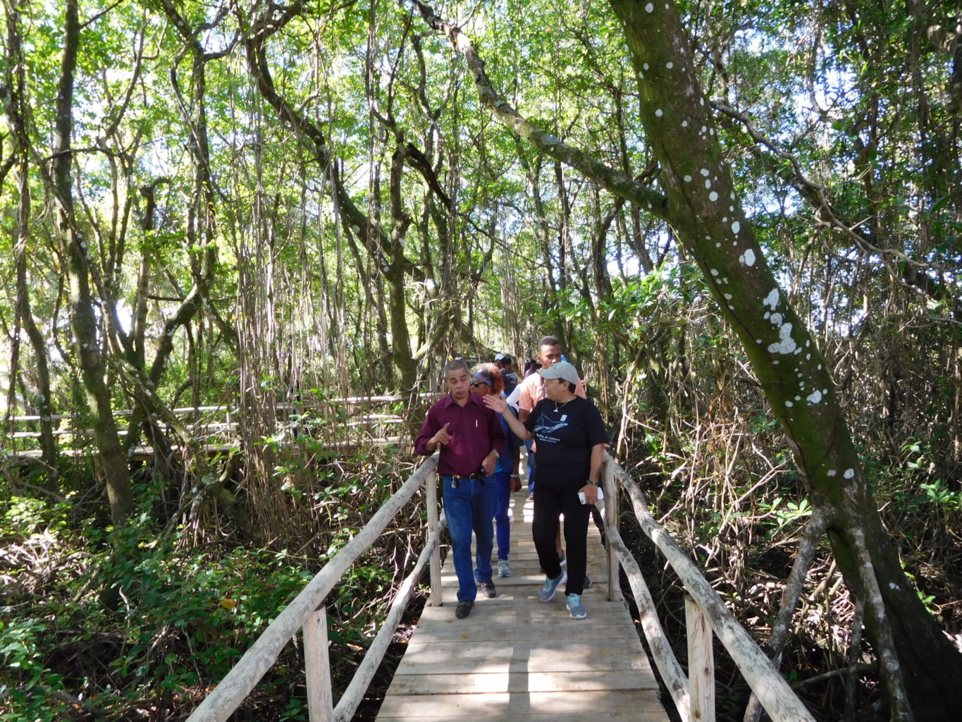 Seacology Prize recipient Patricia Lamelas and others walk on the mangrove boardwalk at Las Garitas, Dominican Republic
