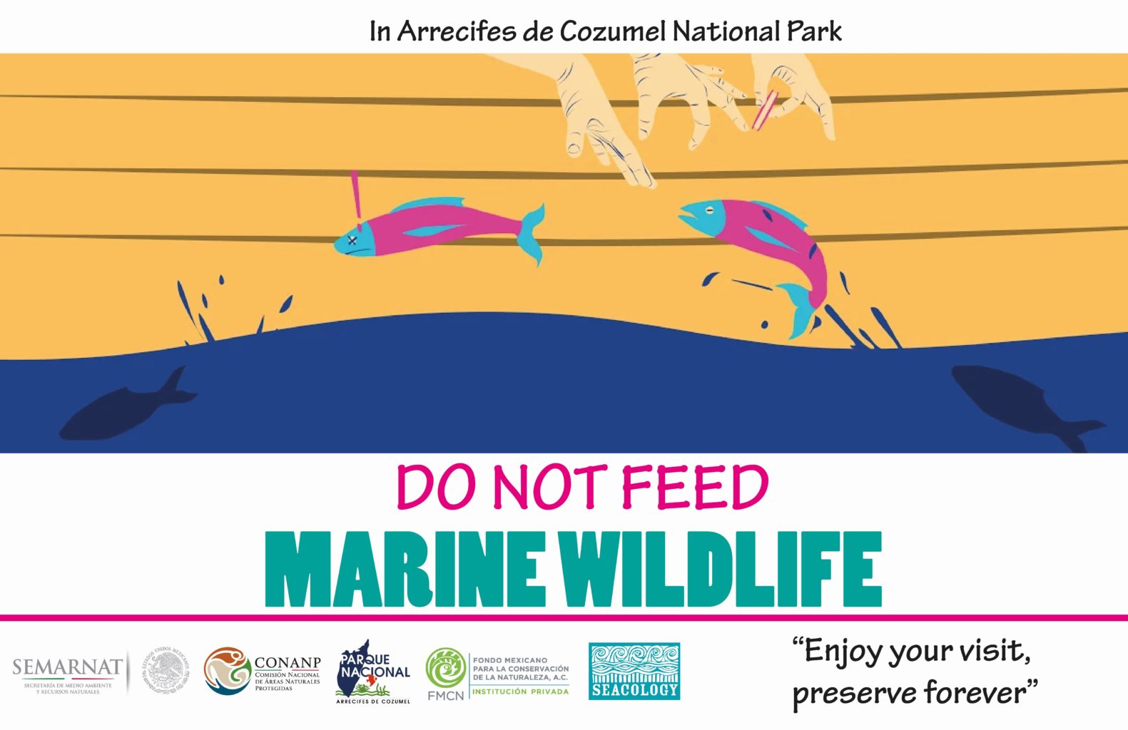 Cozumel dive information