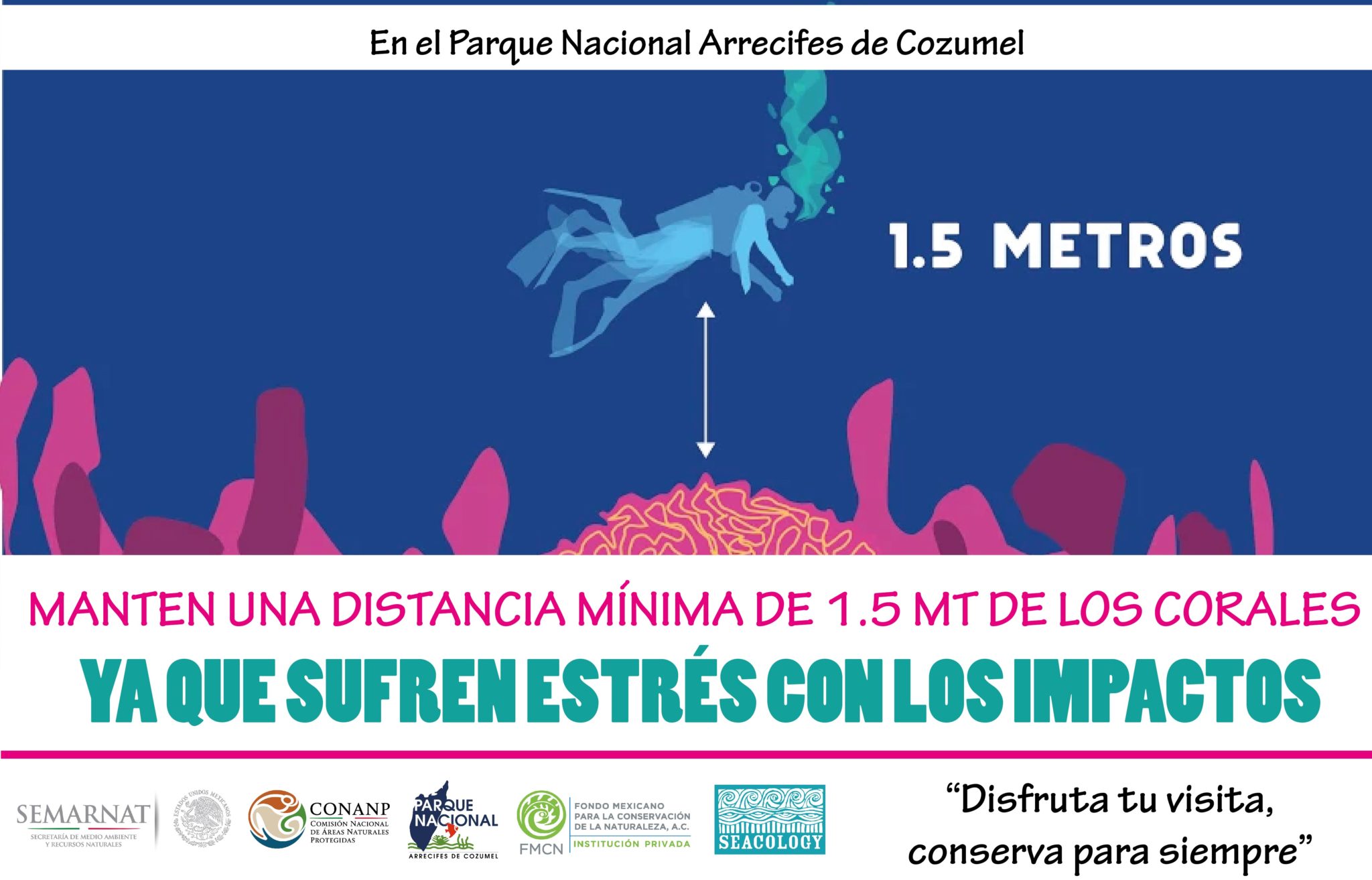 Cozumel tourist materials