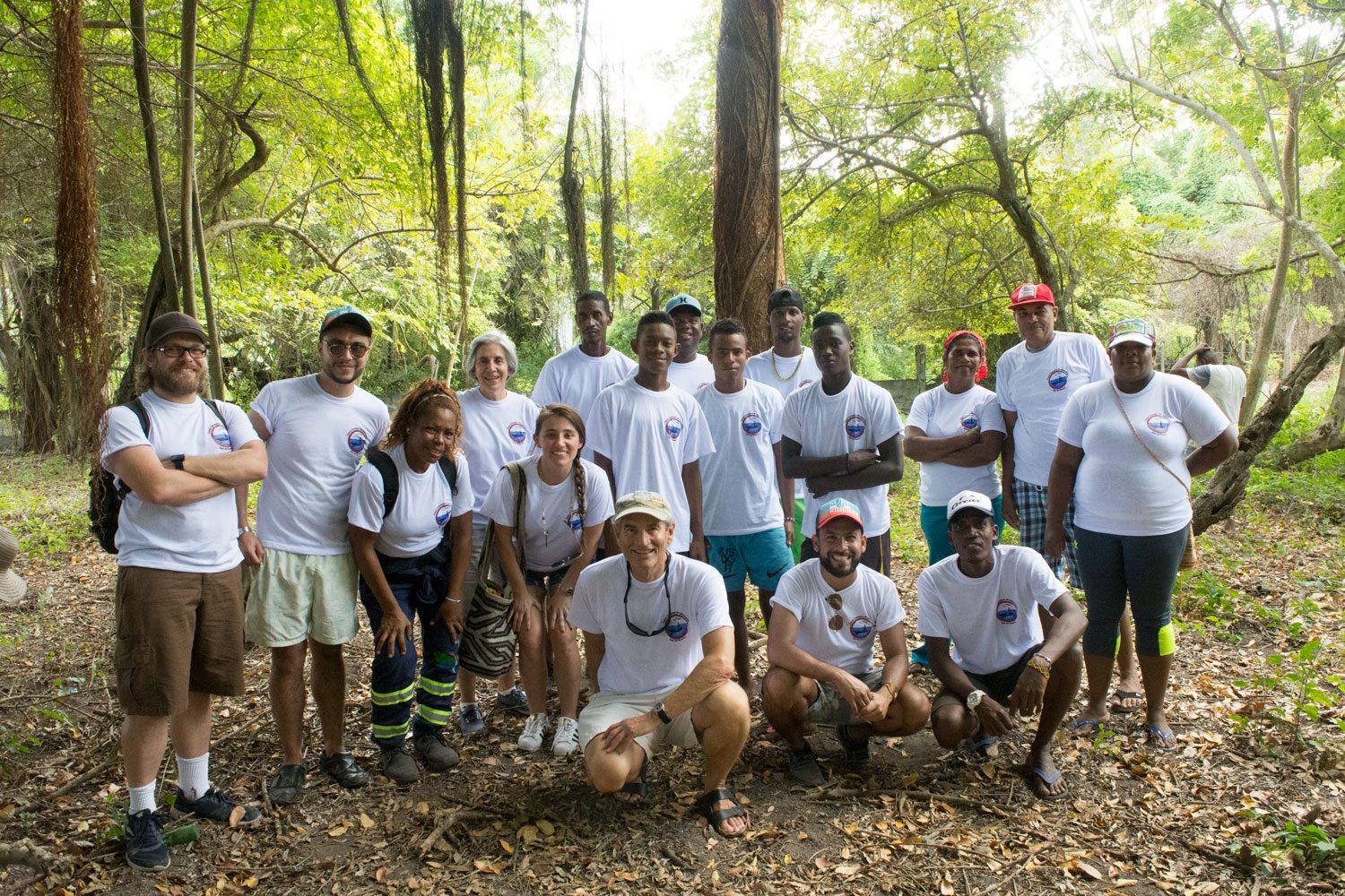 Project partners