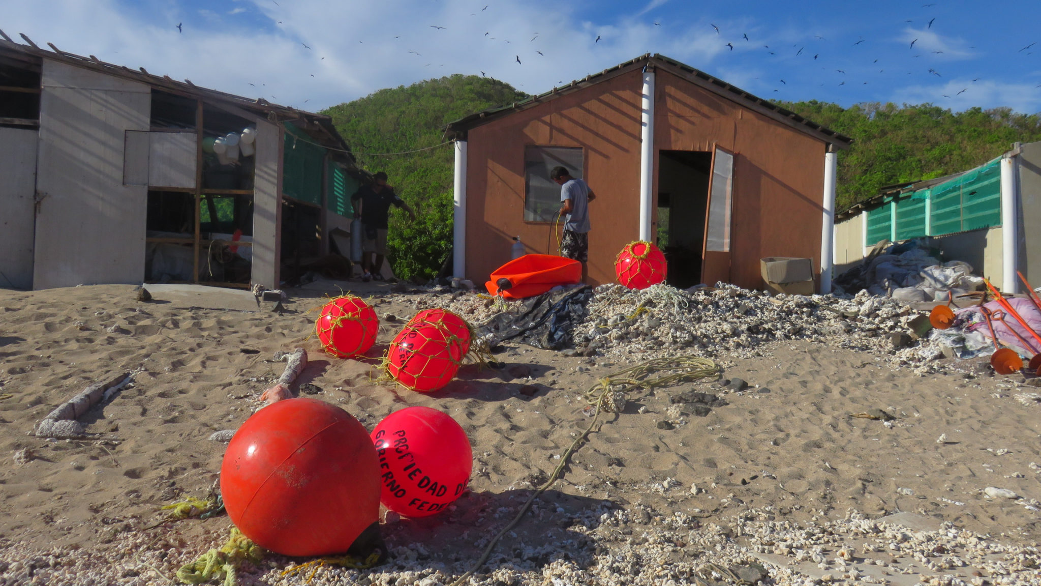 Isabel buoys installation