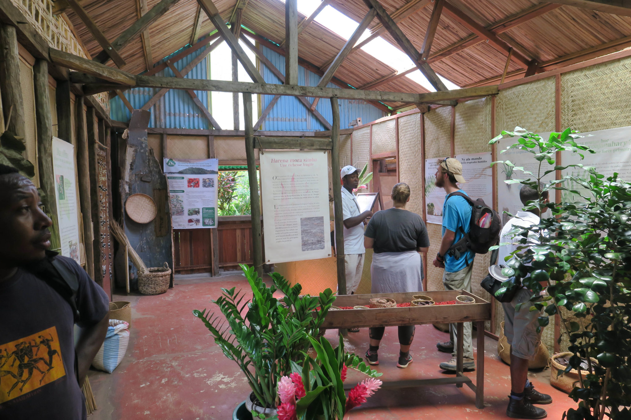 Macolline Antalaha Madagascar