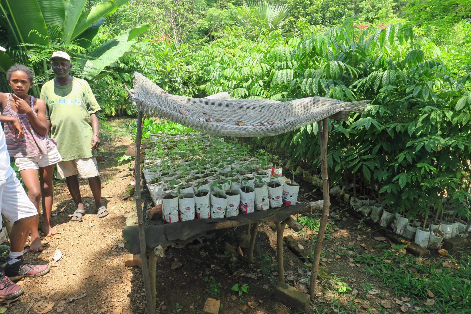 Macolline Antalaha, Madagascar