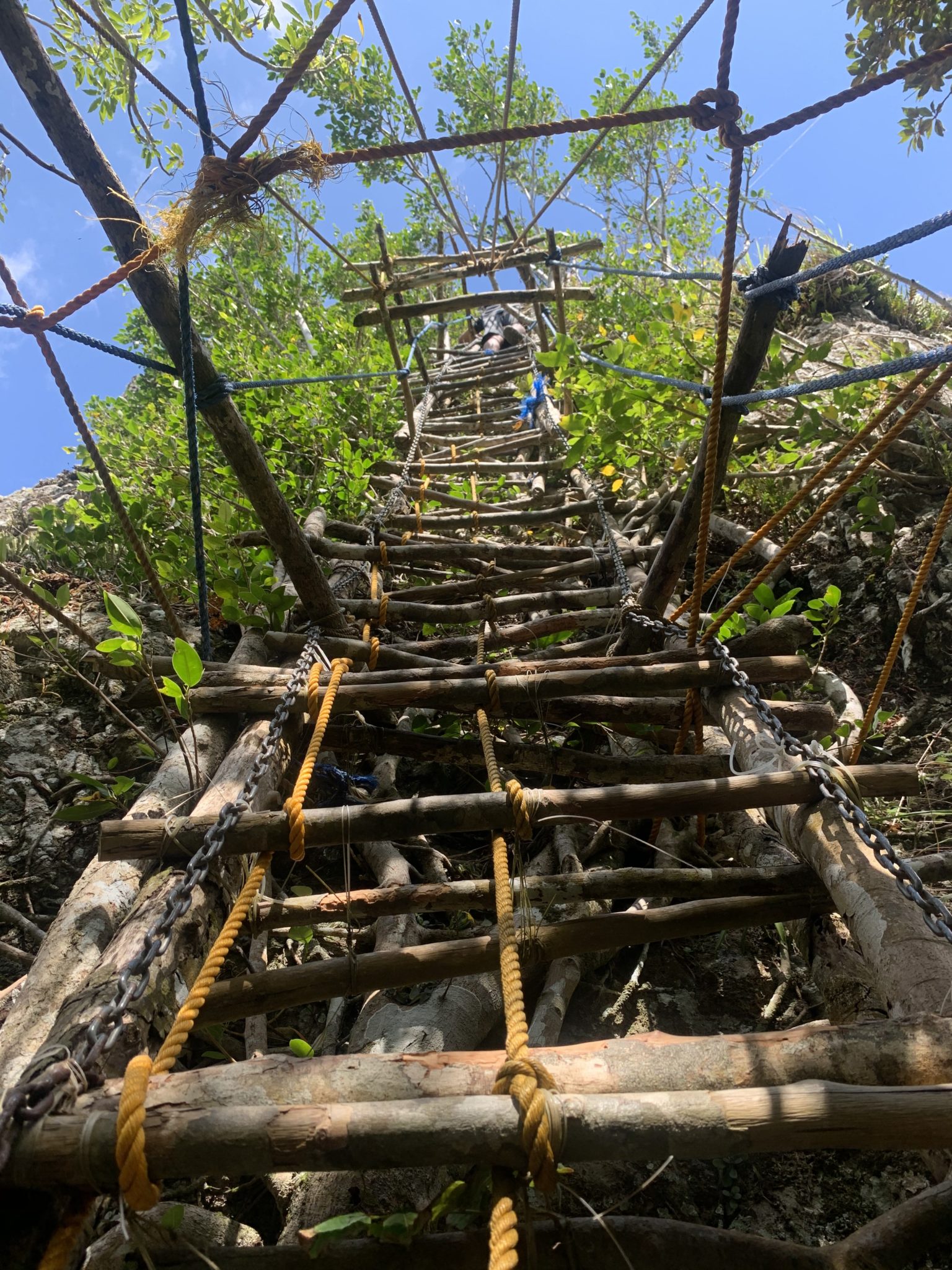 Old ladder up the monolith