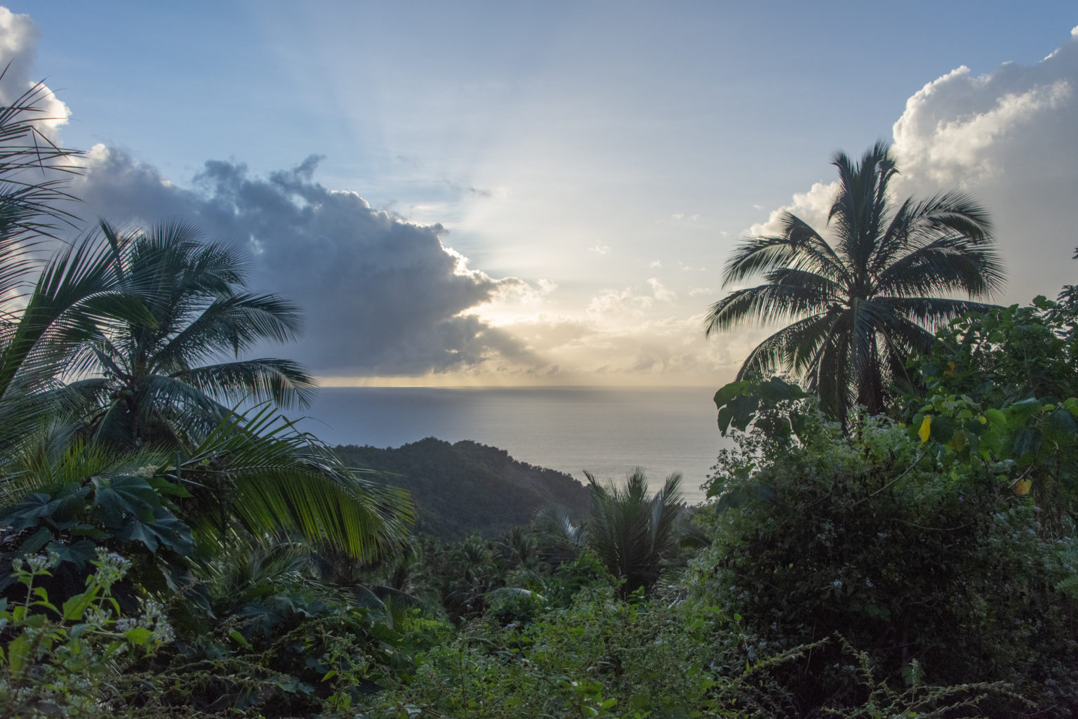 Sunrise over the Verde Island Passage, seen from trail