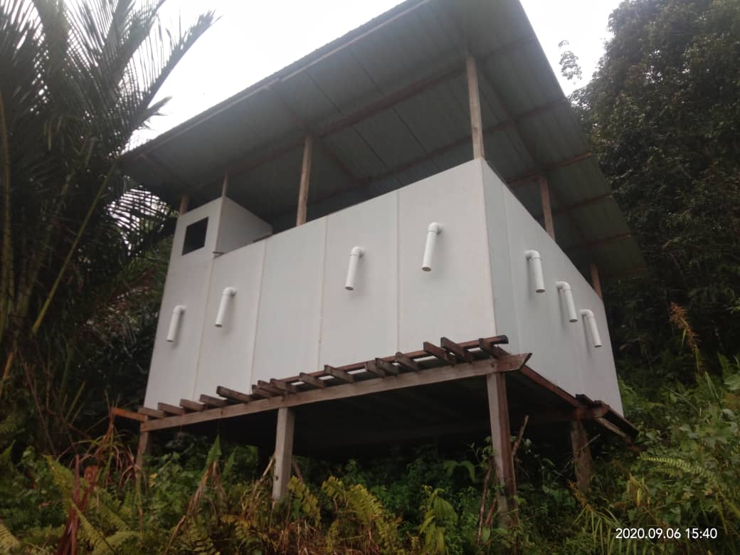 Swiftlet hut in Borneo forest