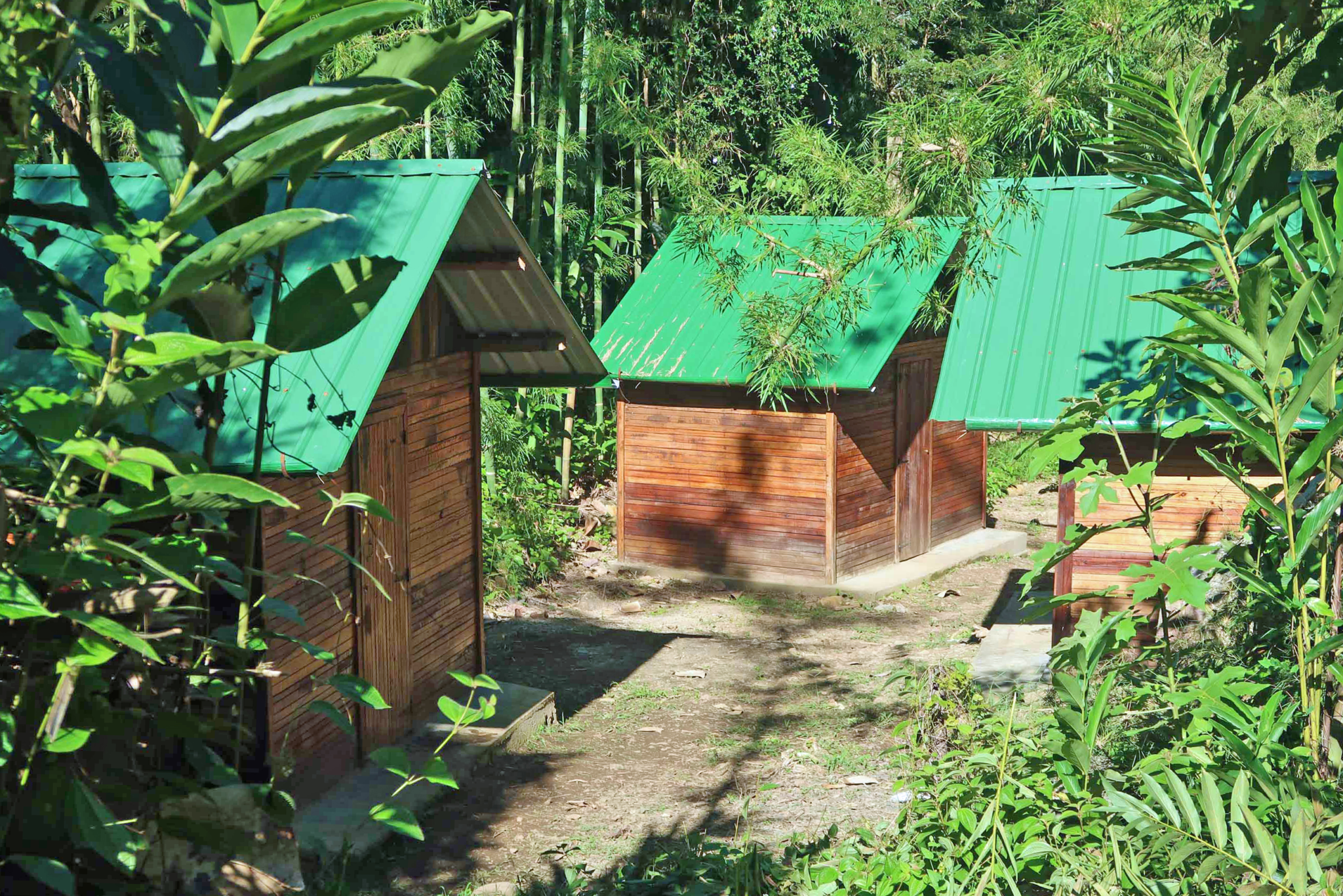 Tourist bungalows, Camp Mantella, Marojejy
