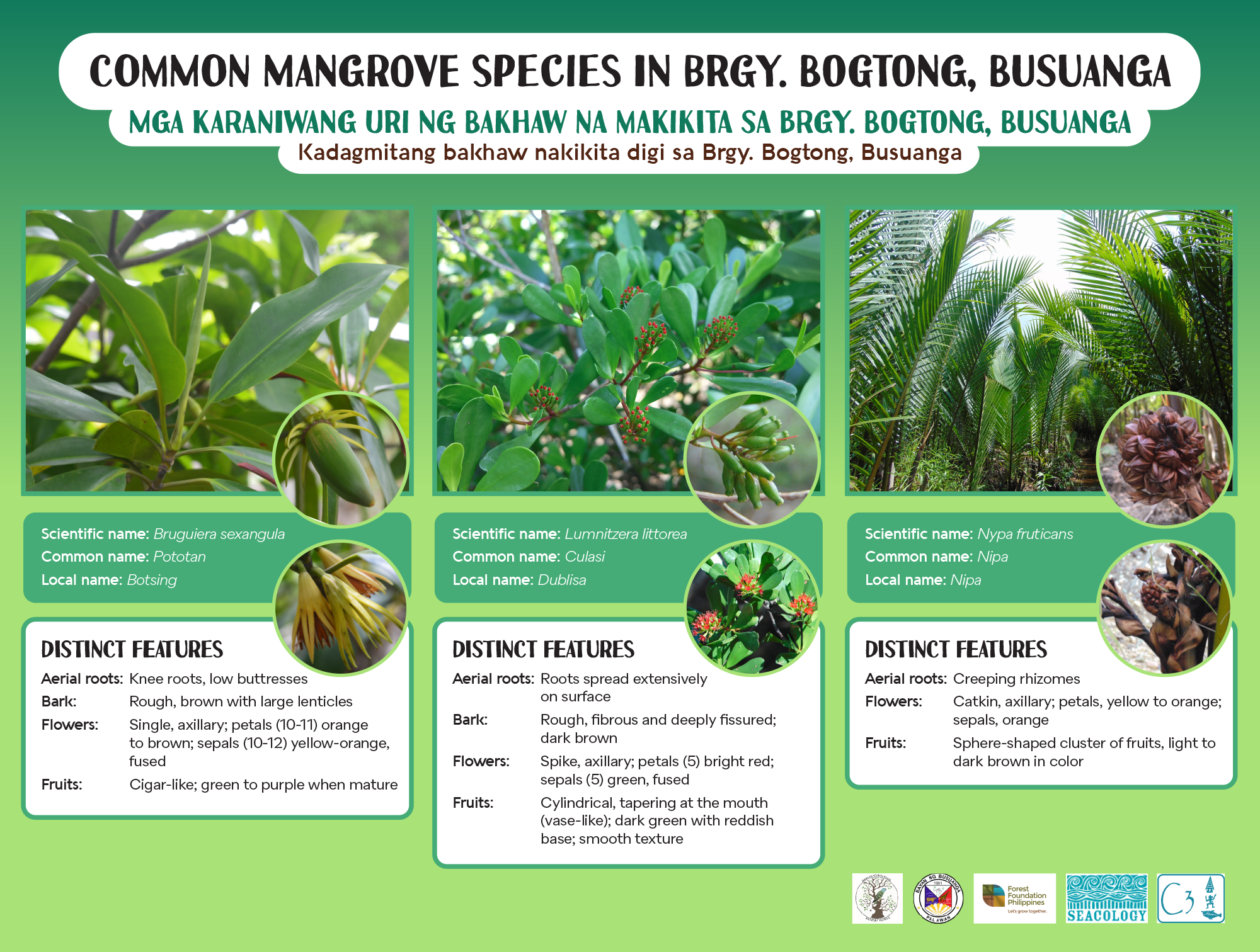 mangrove information signs