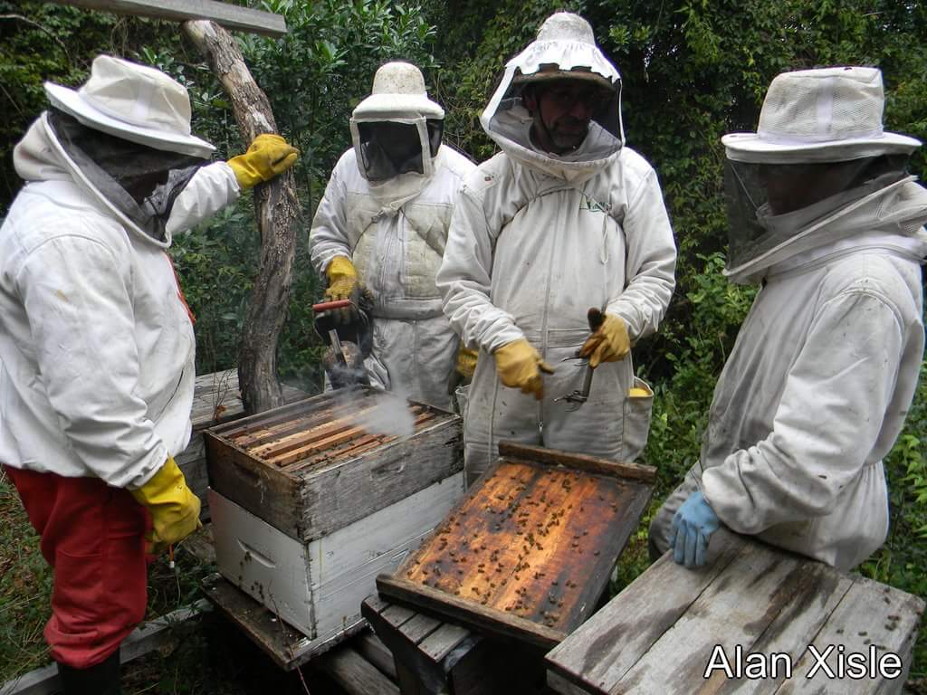 Nuevo Berlin beekeepers