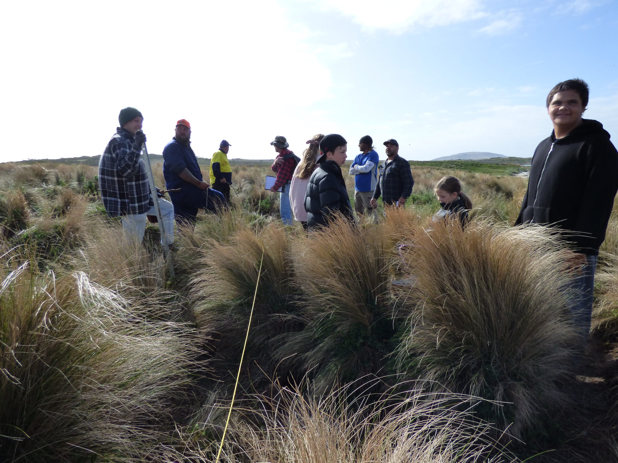 People count muttonbirds on Big Dog Island, Tasmania