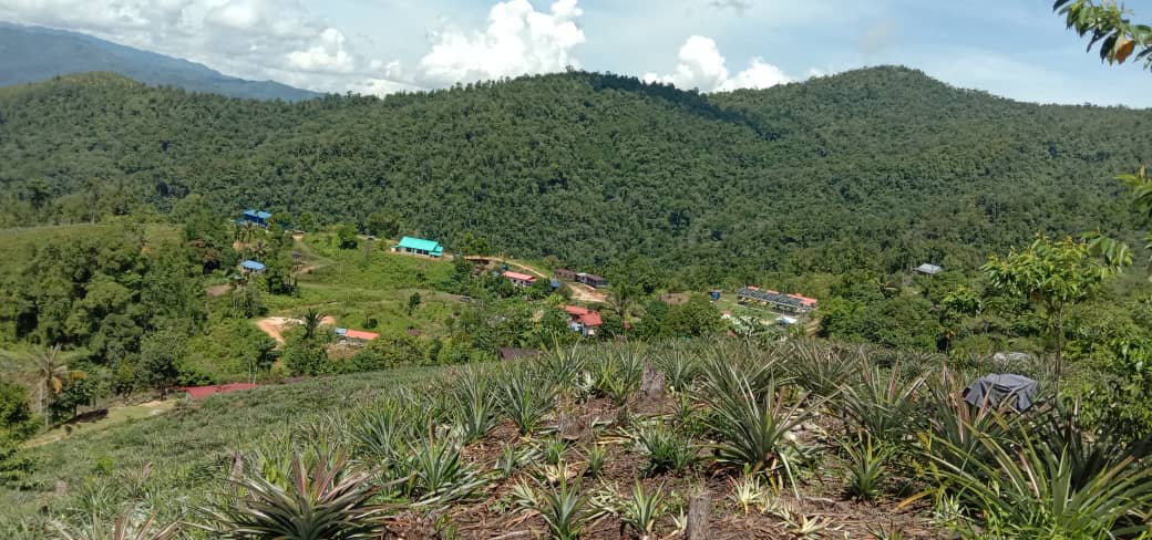 A village in the mountains of Sabah, Malaysia