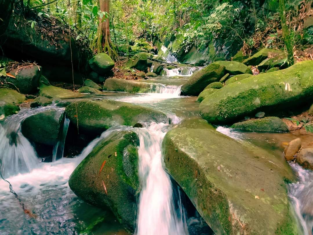 A mountain stream runs through the forest near Rungus Nahaba, Sabah, Malaysia