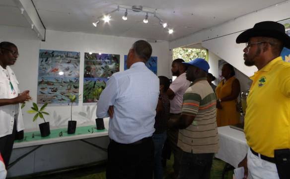A group of people view examples of mangrove seedlings