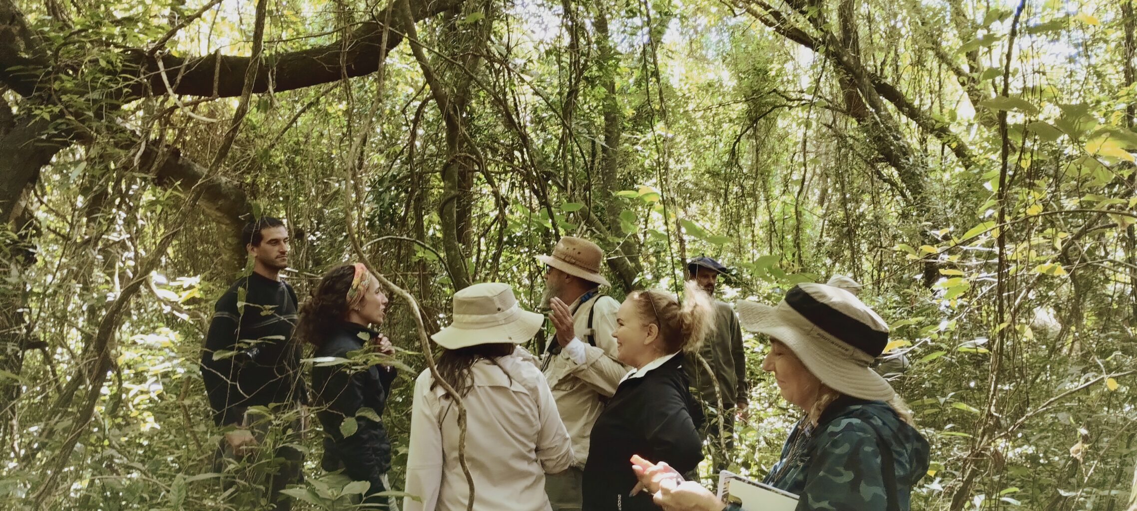 A group of people in hiking gear walk stand in a dense forest