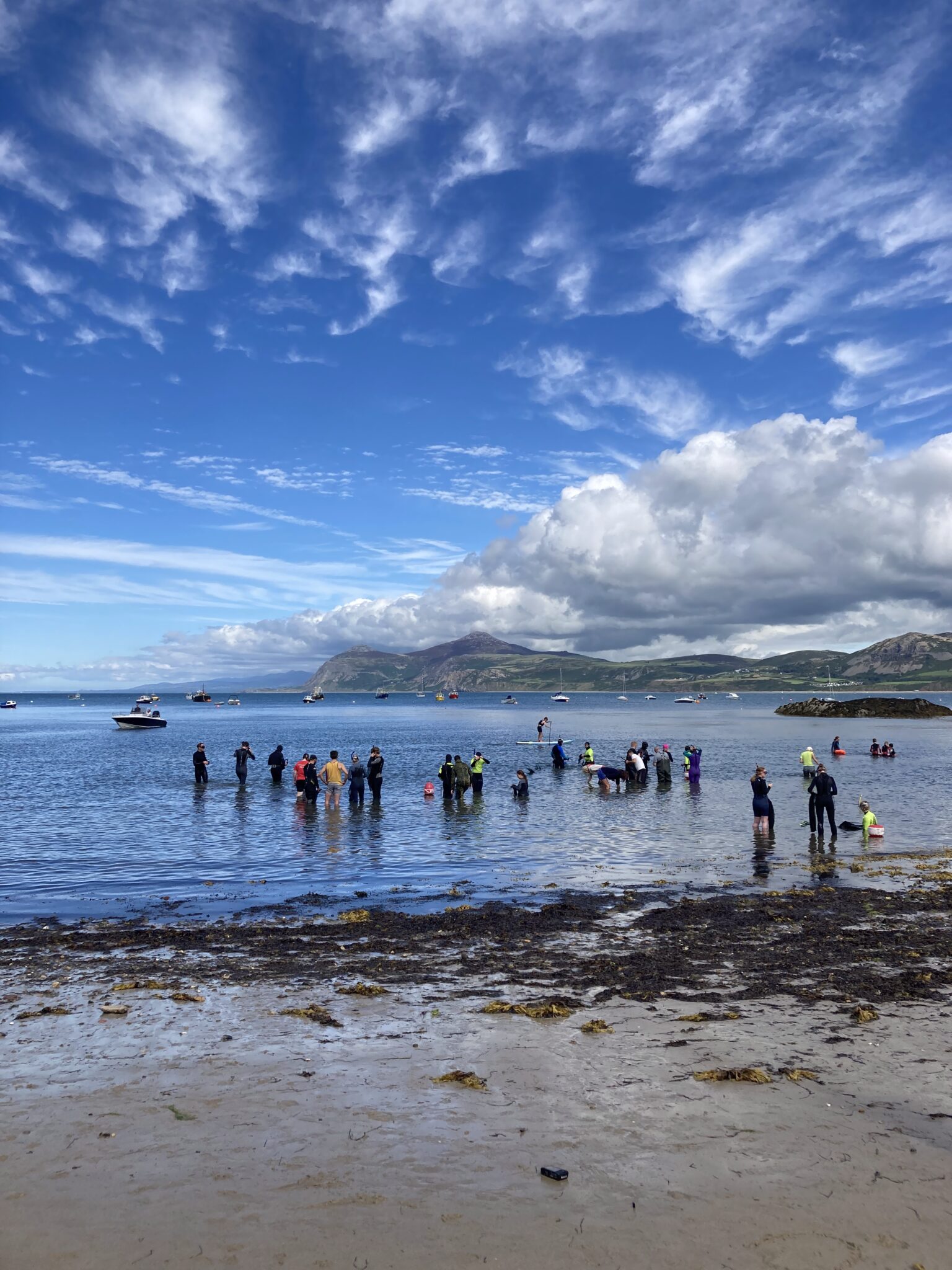 A group of people wade in the shallows of the ocean with a blue sky and white clouds above
