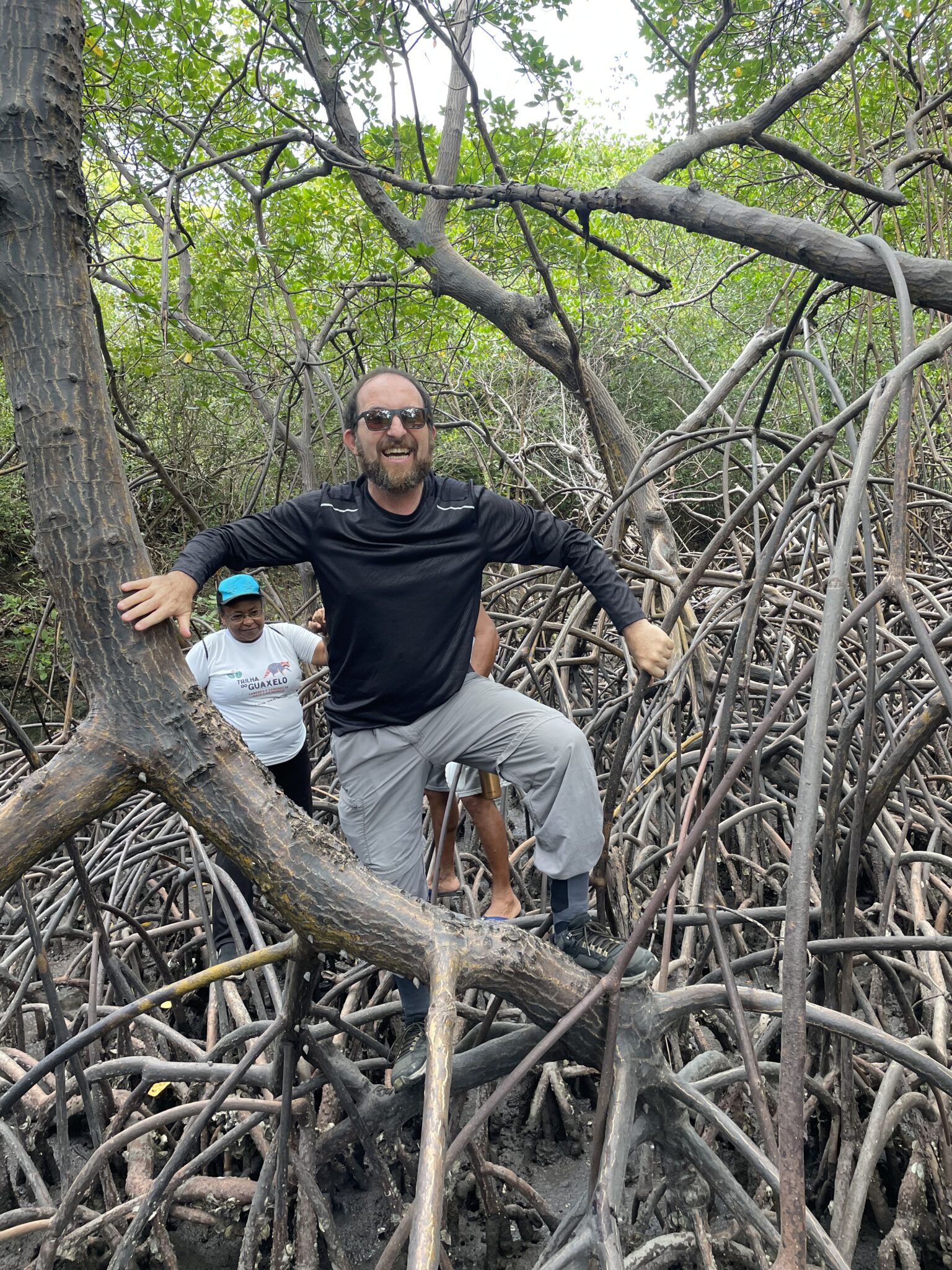 A person climbs over a thick tangle of mangrove roots