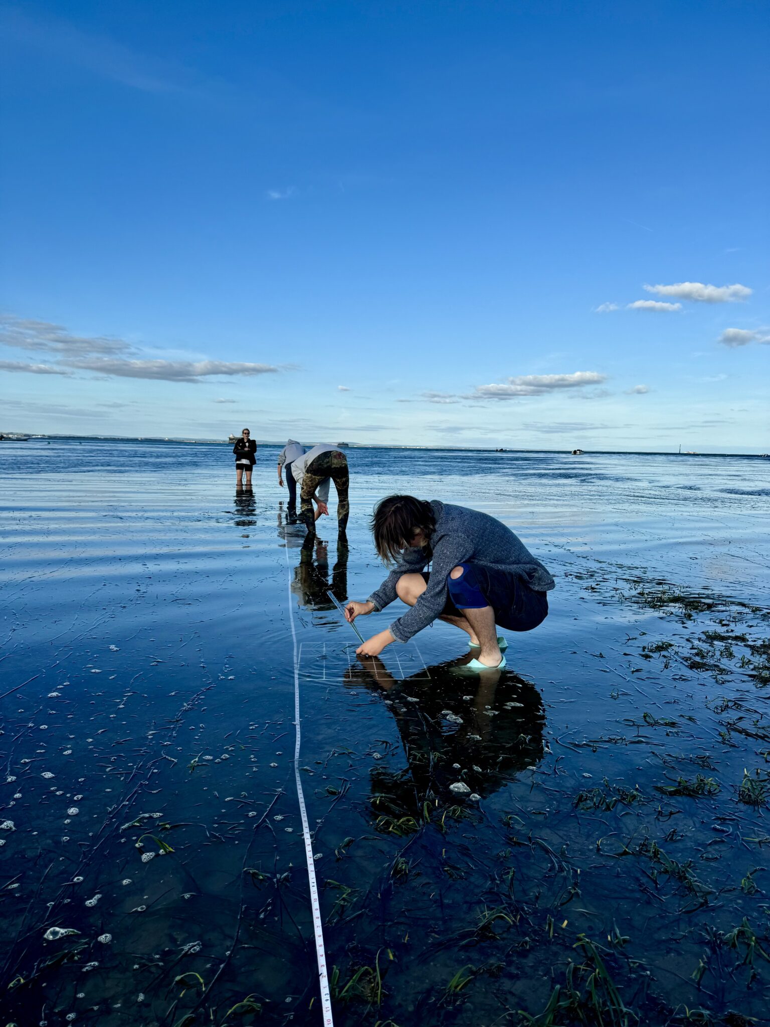 Three people crouch in shallow water taking measurements