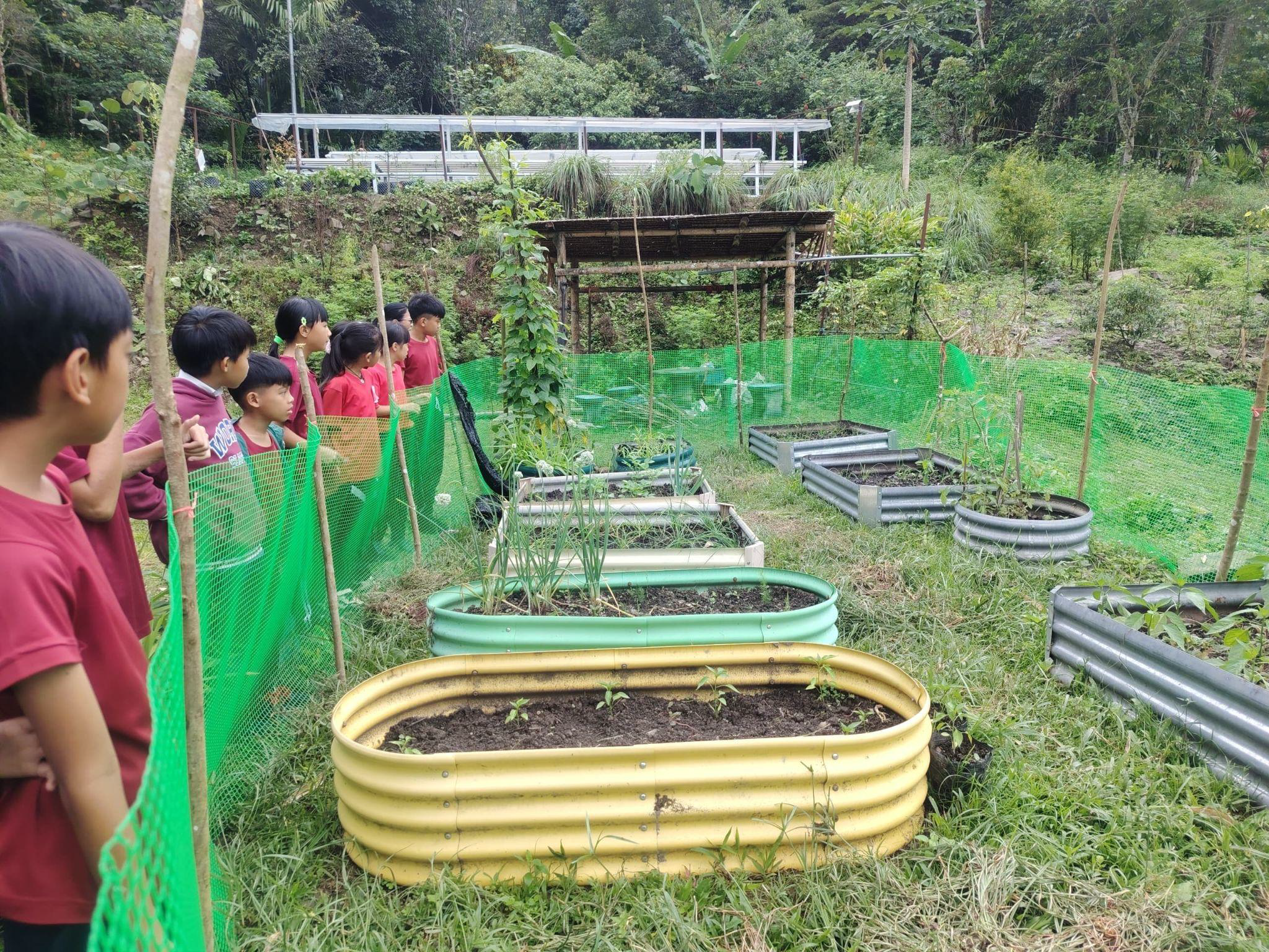 Kids look over fence into garden