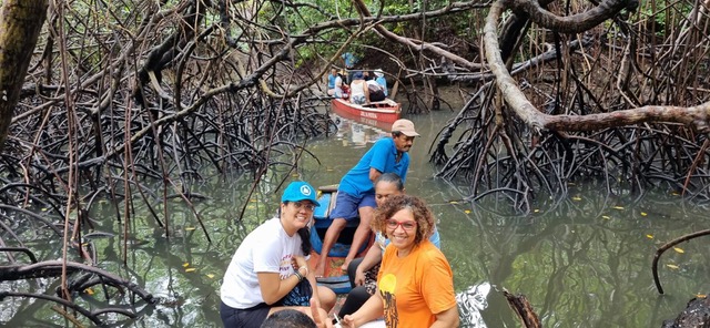 People collect trash in mangroves