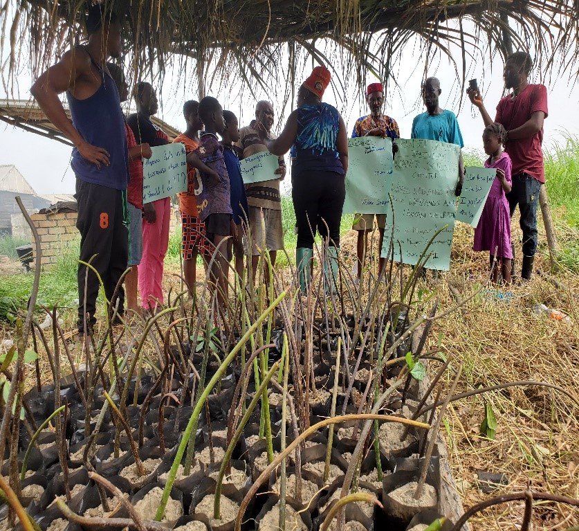 A group of people stand behind a bunch of tree seedlings