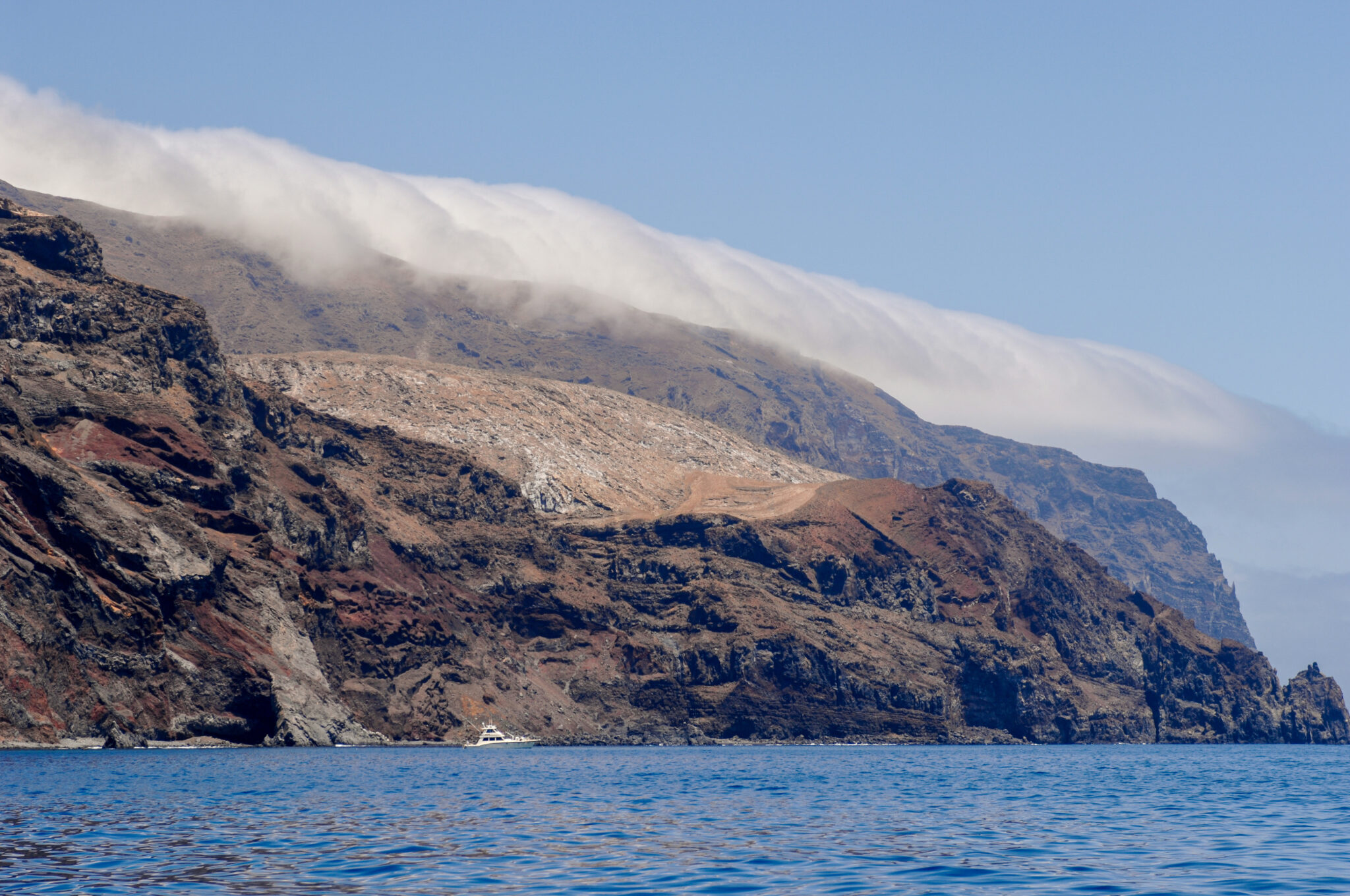 Guadalupe Island Seacology