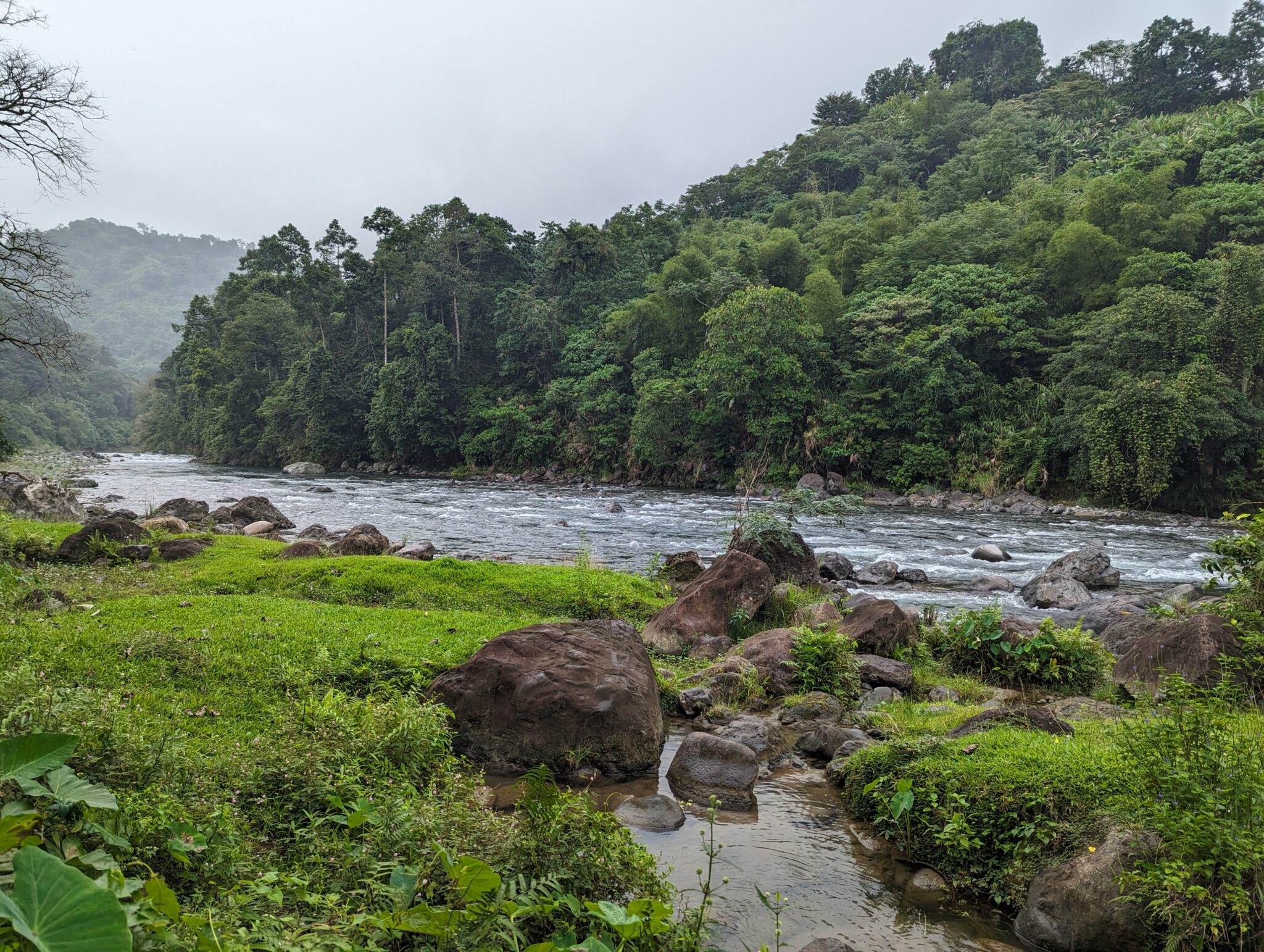 A river flows through a green forest on a cloudy day.