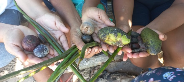 Several people's hands holding seedlings