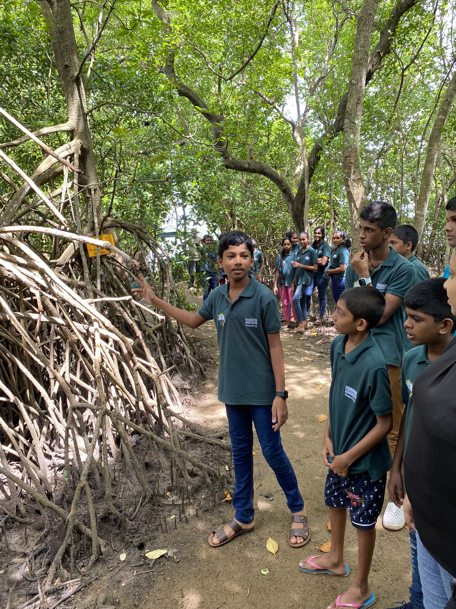 Image source - https://www.seacology.org/2025/11/beyond-the-environment-5-ways-mangroves-help-communities-thrive/