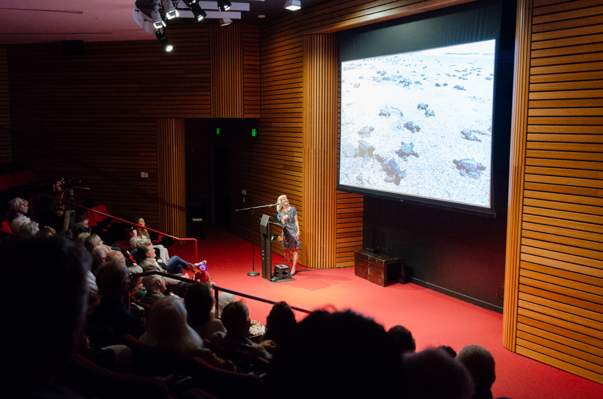 woman presents slideshow at front of theater