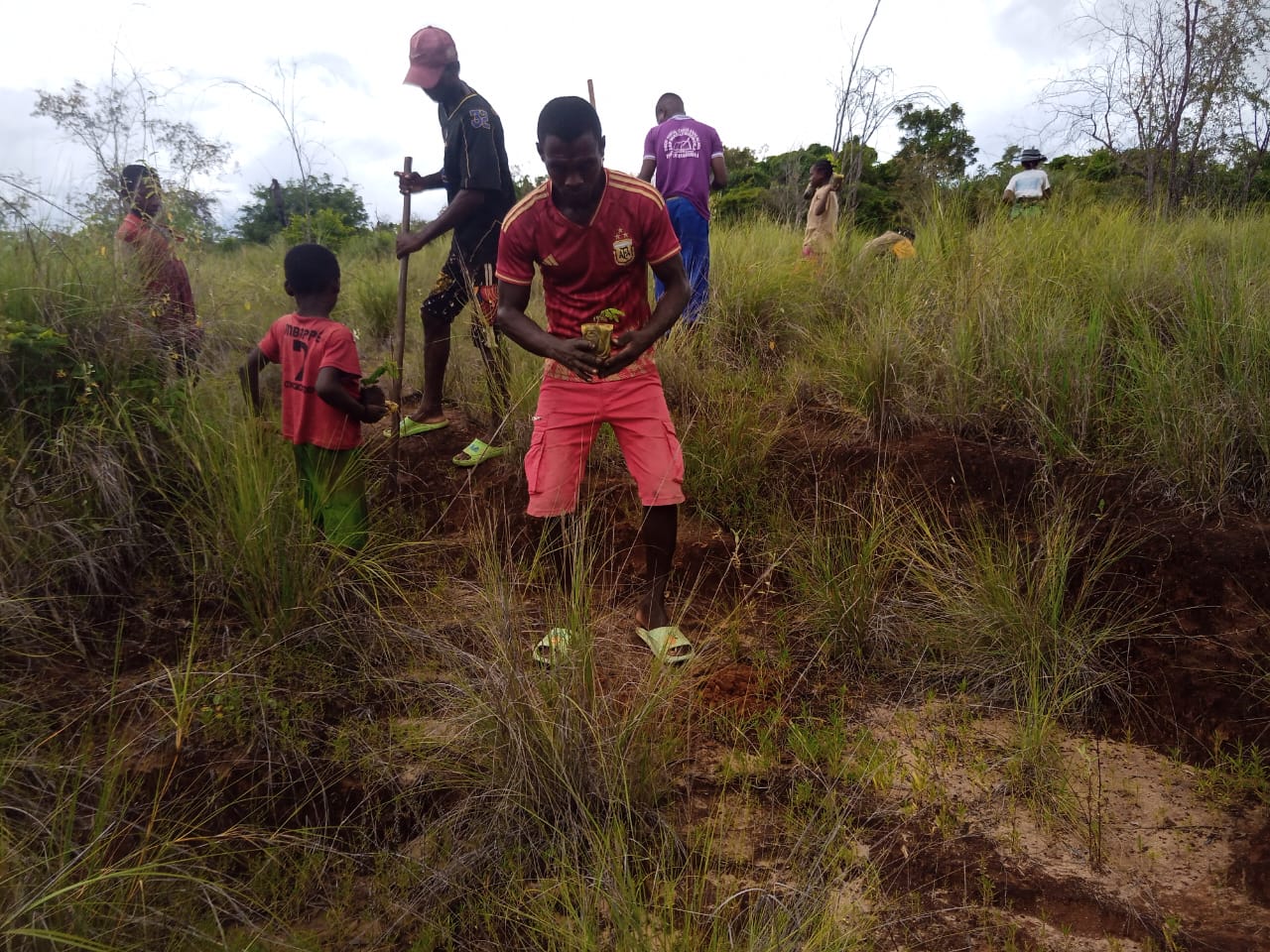 Young man holds seedling to be planted