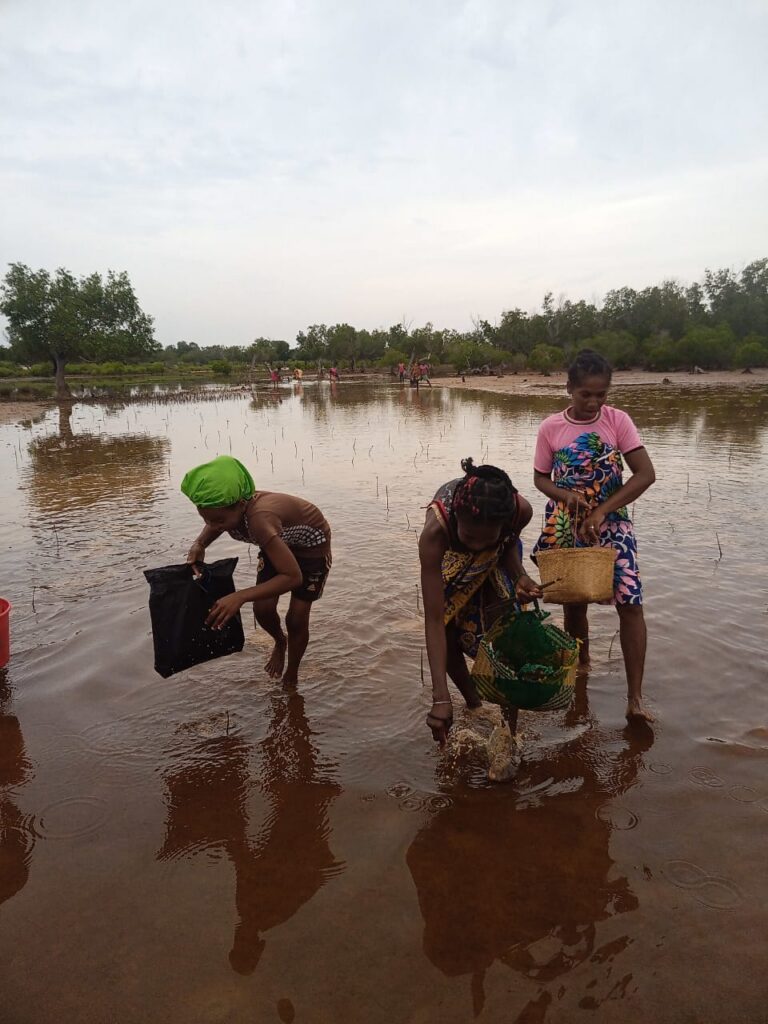 People plant seedings in shallow water.