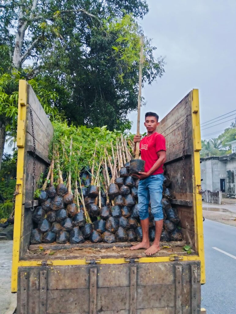 Man stands in truck bed with seedlings to be planted