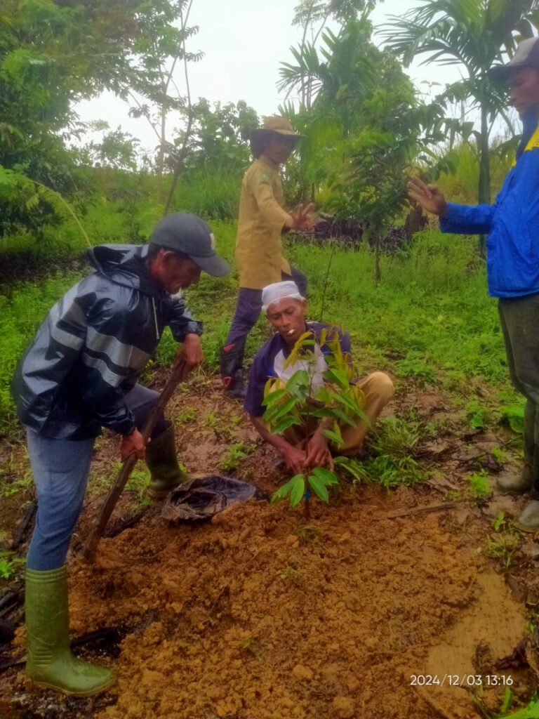 Group of people plants seedling