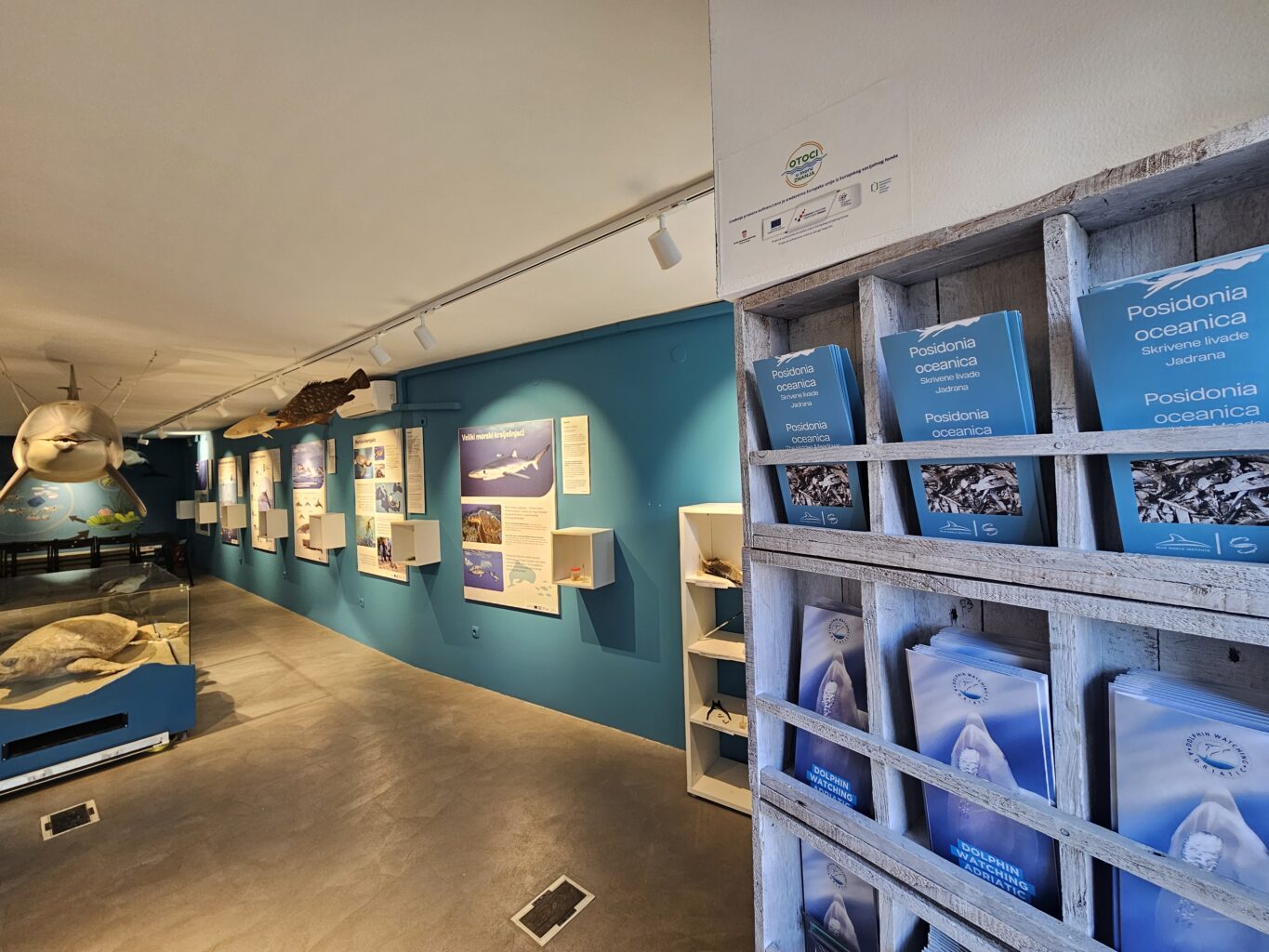 A row of brochures in front of a gallery space