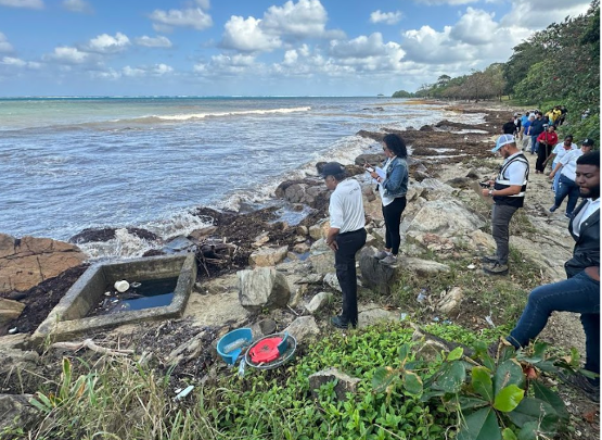 A group of people inspect a beach
