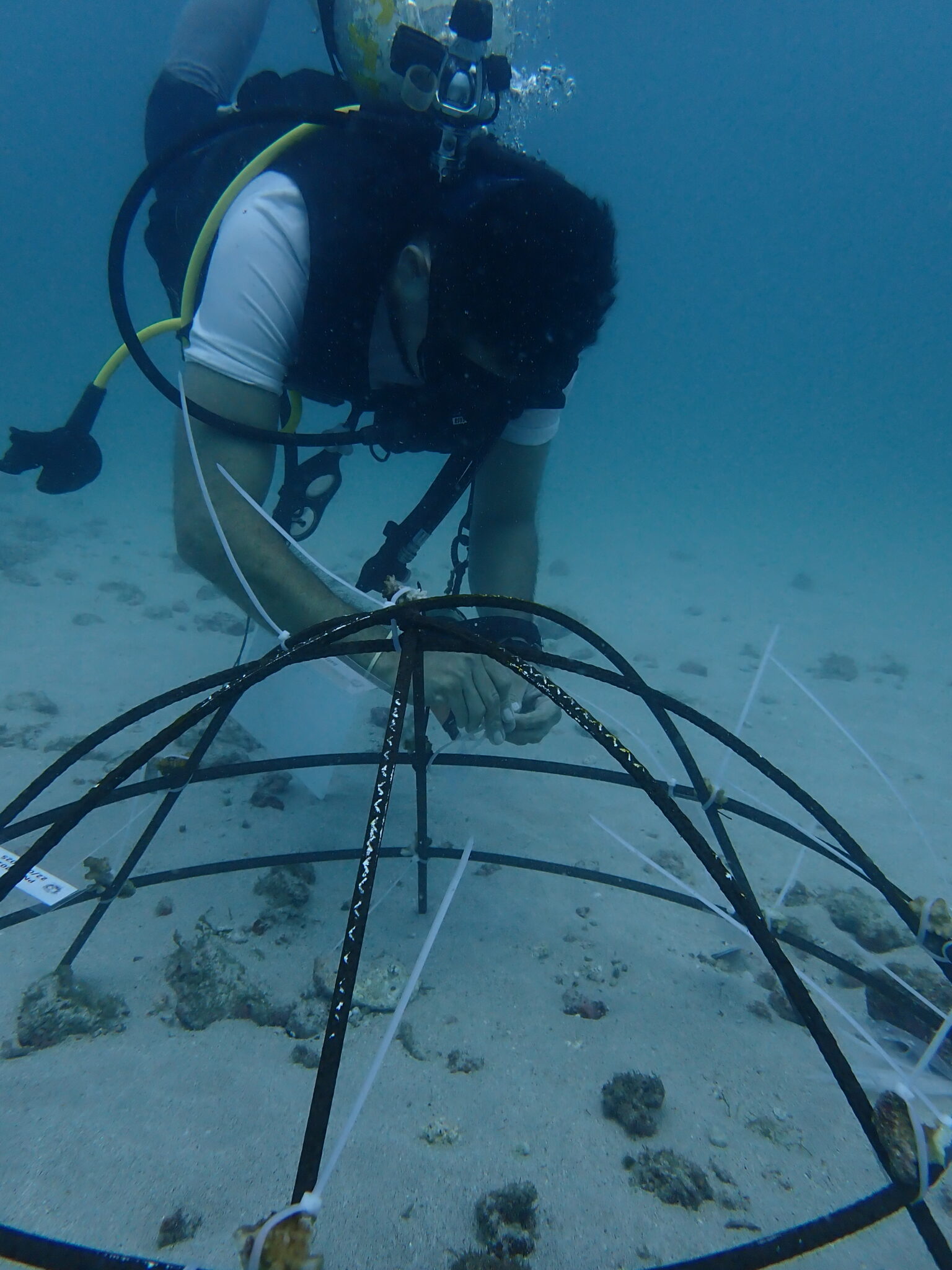 Diver works on metal frame on seafloor