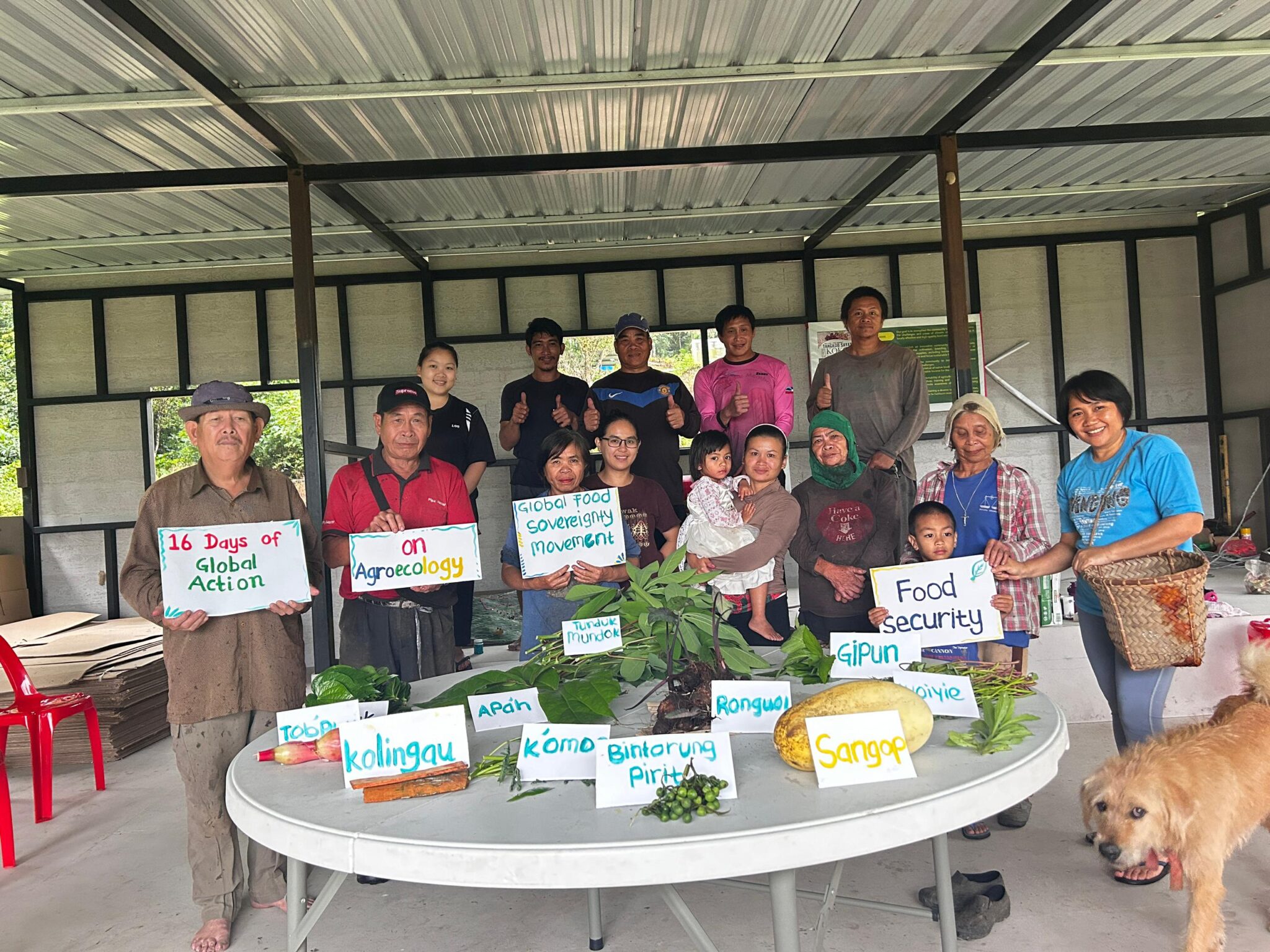 A group of people with hand-painted signs around plants and food