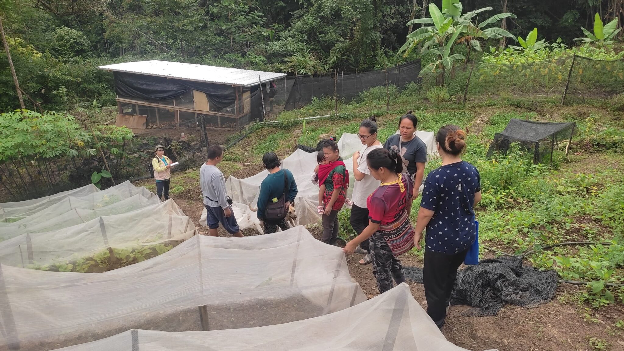 A group of people stand on a hillside with terraces beds of plants